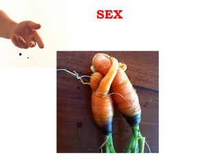 SEX


• .
 