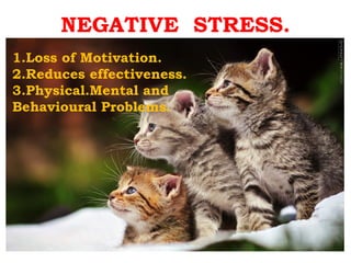 NEGATIVE STRESS.
1.Loss of Motivation.
2.Reduces effectiveness.
  .
3.Physical.Mental and
Behavioural Problems.
 