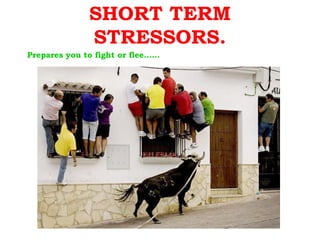 SHORT TERM
              STRESSORS.
Prepares you to fight or flee……
 