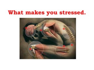 What makes you stressed.
 