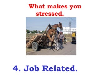 What makes you
    stressed.




4. Job Related.
 