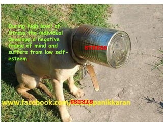 During high level of
Stress the individual             .
develops a negative
frame of mind and           STRESS
suffers from low self-
esteem.




                         STRESS
 
