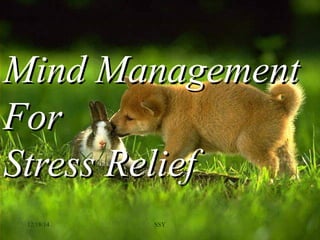 SSY12/18/14
Mind ManagementMind Management
ForFor
Stress ReliefStress Relief
 