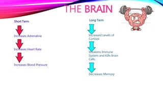THE BRAIN
Short Term Long Term
Increases Adrenaline
Increases Heart Rate
Increases Blood Pressure
Increased Levels of
Cortisol
Weakens Immune
System and Kills Brain
Cells.
Decreases Memory
 