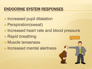 ENDOCRINE SYSTEM RESPONSES
 Increased pupil dilatation
 Perspiration(sweat)
 Increased heart rate and blood pressure
 Rapid breathing
 Muscle tenseness
 Increased mental alertness
 