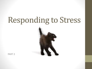 Responding to Stress
PART 2
 