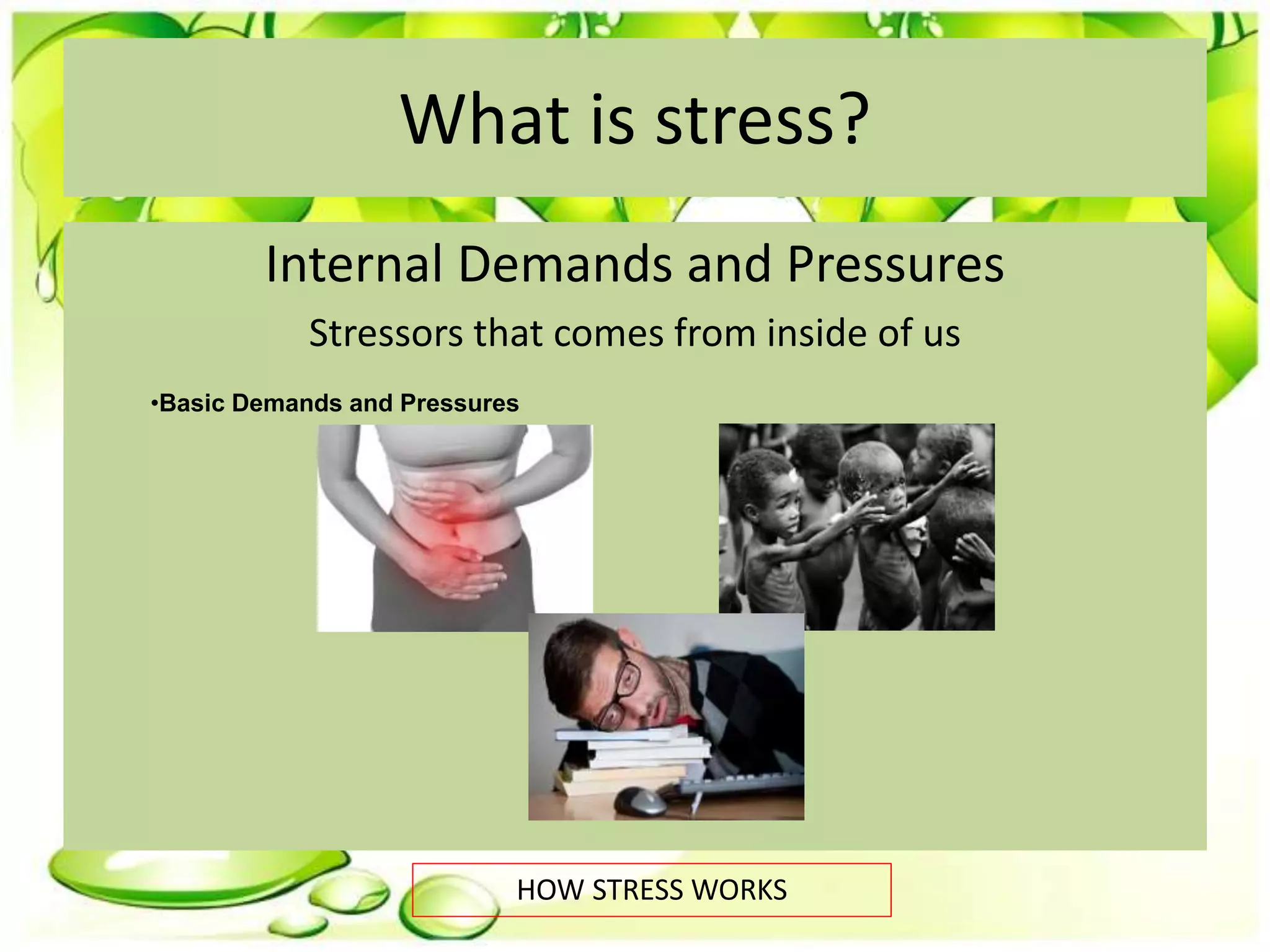 What is stress?
Internal Demands and Pressures
Stressors that comes from inside of us
HOW STRESS WORKS
•Basic Demands and Pressures
 