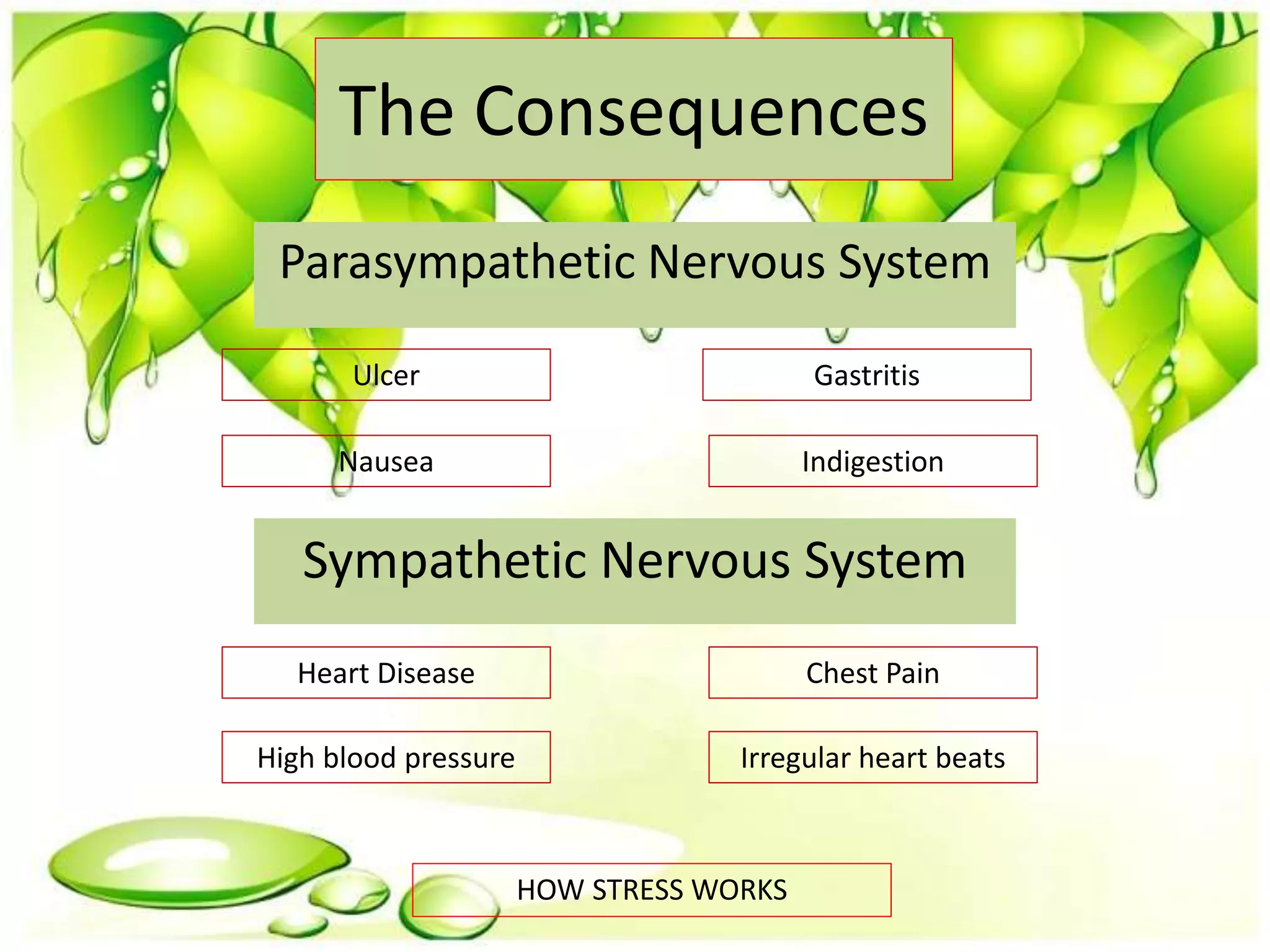 The Consequences
HOW STRESS WORKS
Parasympathetic Nervous System
Ulcer Gastritis
IndigestionNausea
Sympathetic Nervous System
Heart Disease
High blood pressure
Chest Pain
Irregular heart beats
 