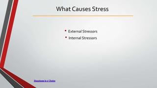 What Causes Stress
• External Stressors
• Internal Stressors
 