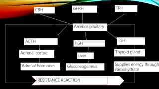 CRH GHRH TRH
Anterior pituitary
ACTH HGH
TSH
Adrenal cortex
Liver
Thyroid gland
Adrenal hormones Gluconeogenesis Supplies energy through
carbohydrate
mechanism
RESISTANCE REACTION
 