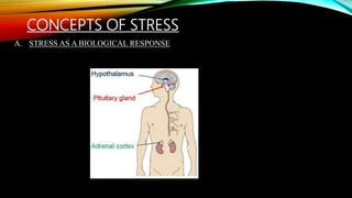 CONCEPTS OF STRESS
A. STRESS AS A BIOLOGICAL RESPONSE
 