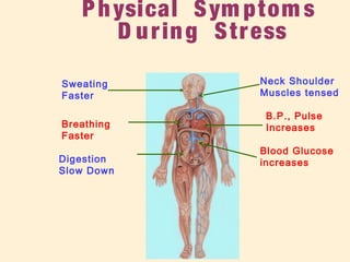 Digestion
Slow Down
Blood Glucose
increases
Sweating
Faster
Neck Shoulder
Muscles tensed
Breathing
Faster
Physical Sym ptom s
D uring Stress
B.P., Pulse
Increases
 
