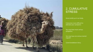 Stress builds up in our body.
It becomes more difficult to
alleviate your symptoms
You may have more serious
symptoms.
You may have ore serious mental
anguish.
Camel breakdown Story.
2. CUMULATIVE
STRESS
 