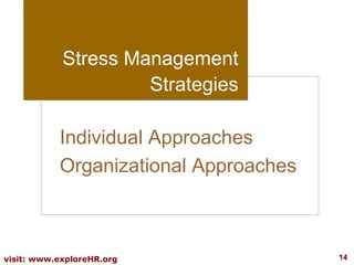 Stress Management
Strategies
Individual Approaches
Organizational Approaches

visit: www.exploreHR.org

14

 