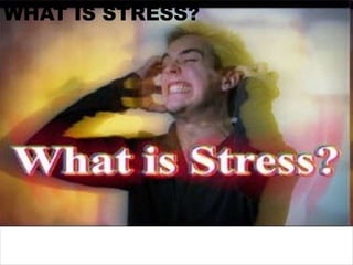 WHAT IS STRESS?
 