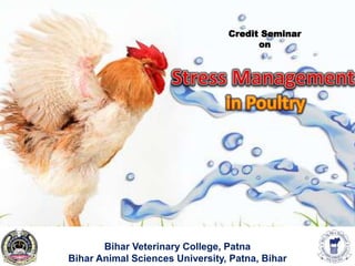 Credit Seminar
on
Bihar Veterinary College, Patna
Bihar Animal Sciences University, Patna, Bihar
 