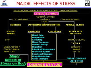 MAJOR  EFFECTS OF STRESS 