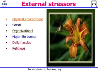 External stressors   Physical environment   Social  Organizational   Major life events   Daily hassles   Religious 