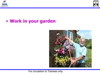 Work in your garden 