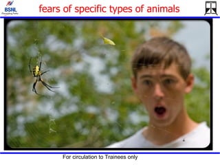 fears of specific types of animals  