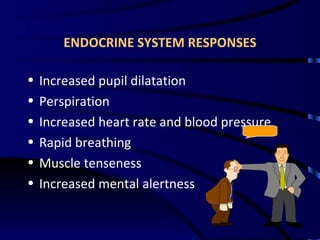 ENDOCRINE SYSTEM RESPONSES Increased pupil dilatation Perspiration Increased heart rate and blood pressure Rapid breathing Muscle tenseness Increased mental alertness 