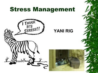 Stress Management
YANI RIG
 