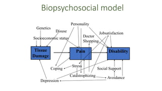Biopsychosocial model
Pain DisabilityTissue
Damage
Disuse
Catastrophizing
Jobsatisfaction
Coping
Socioeconomic status
Personality
Social Support
Doctor
Shopping
Genetics
Stress
Avoidance
Depression
 