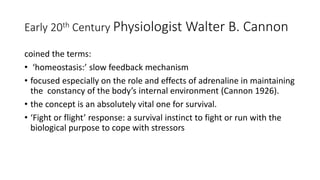 Early 20th Century Physiologist Walter B. Cannon
coined the terms:
• ‘homeostasis:’ slow feedback mechanism
• focused especially on the role and effects of adrenaline in maintaining
the constancy of the body’s internal environment (Cannon 1926).
• the concept is an absolutely vital one for survival.
• ‘Fight or flight’ response: a survival instinct to fight or run with the
biological purpose to cope with stressors
 