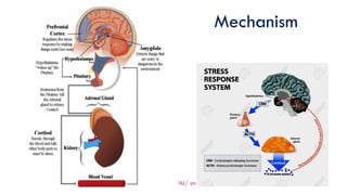 Mechanism
23 Jan, 22
PPAI/ strs mgt/web
16
 
