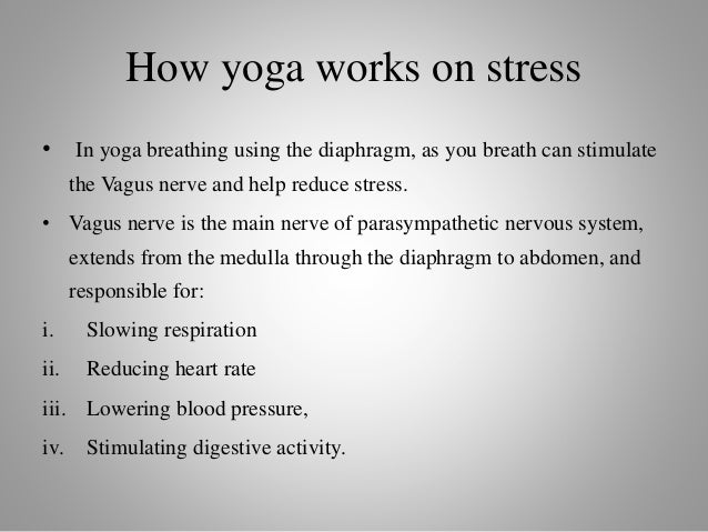 essays about stress