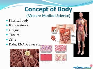 Concept of Body
             (Modern Medical Science)
 Physical body
 Body systems
 Organs
 Tissues
 Cells
 DNA, RNA, Genes etc
 