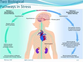 Two Biological
Pathways in Stress




                ©2006 by the McGraw-Hill Companies, Inc. All
  McGraw-Hill   rights reserved.                               4-17
 
