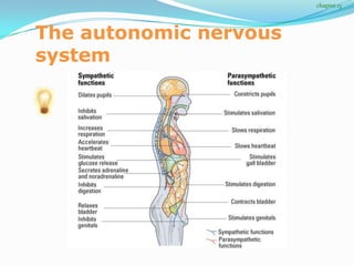 chapter 13




The autonomic nervous
system
 