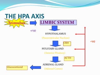 THE HPA AXIS
 Stimulus              LIMBIC SYSTEM
                 +ve
                          HYPOTHALAMUS
                       (Paraventricular Nucleus)

                                            CRH    -ve
                       PITUITARY GLAND
                         (Anterior Pituitary)

                                            ACTH

                       ADRENAL GLAND
Glucocorticoid
                         (Adrenal Cortex)
 