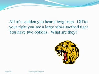 All of a sudden you hear a twig snap. Off to
     your right you see a large saber-toothed tiger.
     You have two options. What are they?




10/4/2012       www.yogamaarg.com
 