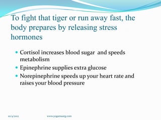 To fight that tiger or run away fast, the
  body prepares by releasing stress
  hormones
      Cortisol increases blood sugar and speeds
       metabolism
      Epinephrine supplies extra glucose
      Norepinephrine speeds up your heart rate and
       raises your blood pressure




10/4/2012        www.yogamaarg.com
 