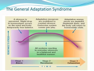 The General Adaptation Syndrome
 
