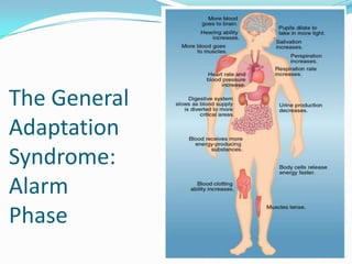 The General
Adaptation
Syndrome:
Alarm
Phase
              Figure 3.2
 