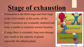 Stage of exhaustion
 Exhaustion is the third stage and final stage
in the GAS model, at this point, all the
body’s resources are eventually depleted and
body is unable to maintain normal function.
 If stage three is extended, long term damage
may result as the capacity of gland,
especially the adrenal gland.
 