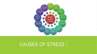 CAUSES OF STRESS
 