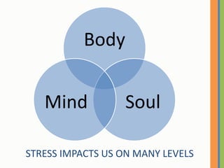 STRESS IMPACTS US ON MANY LEVELS<br />