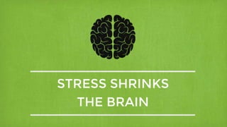 STRESS SHRINKS
THE BRAIN
 