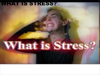 10/27/13 3
WHAT IS STRESS?
 