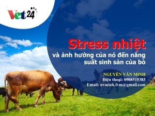 Stress nhiệt
và ảnh hưởng của nó đến năng
suất sinh sản của bò
NGUYỄN VĂN MINH
Điện thoại: 0908515383
Email: nvminh.fvm@gmail.com
 
