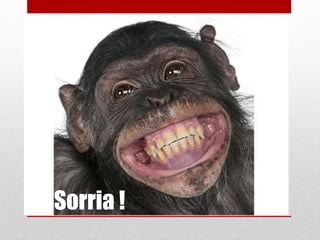Sorria !
 