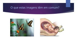 O que estas imagens têm em comum?
 