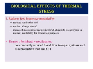 Biological effects of thermal
stress
1. Reduces feed intake accompanied by
– reduced rumination and
– nutrient absorption and
– increased maintenance requirements which results into decrease in
nutrient availability for production purposes
• Reason : Peripheral vasodilatation,
concomitantly reduced blood flow to organ systems such
as reproductive tract and GIT
 