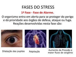FASES DO STRESS
               1ª Fase - Fase de Alarme.
O organismo entra em alerta para se proteger do perigo
 e dá prioridade aos órgãos de defesa, ataque ou fuga.
         Reações desenvolvidas nesta fase são:




                                     Aumento da Pressão e
Dilatação das pupilas   Palpitação
                                     maior fluxo de oxigênio
 