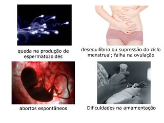 queda na produção de   desequilíbrio ou supressão do ciclo
  espermatozoides        menstrual; falha na ovulação




abortos espontâneos      Dificuldades na amamentação
 
