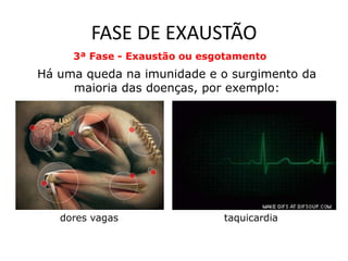 FASE DE EXAUSTÃO
     3ª Fase - Exaustão ou esgotamento
Há uma queda na imunidade e o surgimento da
     maioria das doenças, por exemplo:




   dores vagas                taquicardia
 